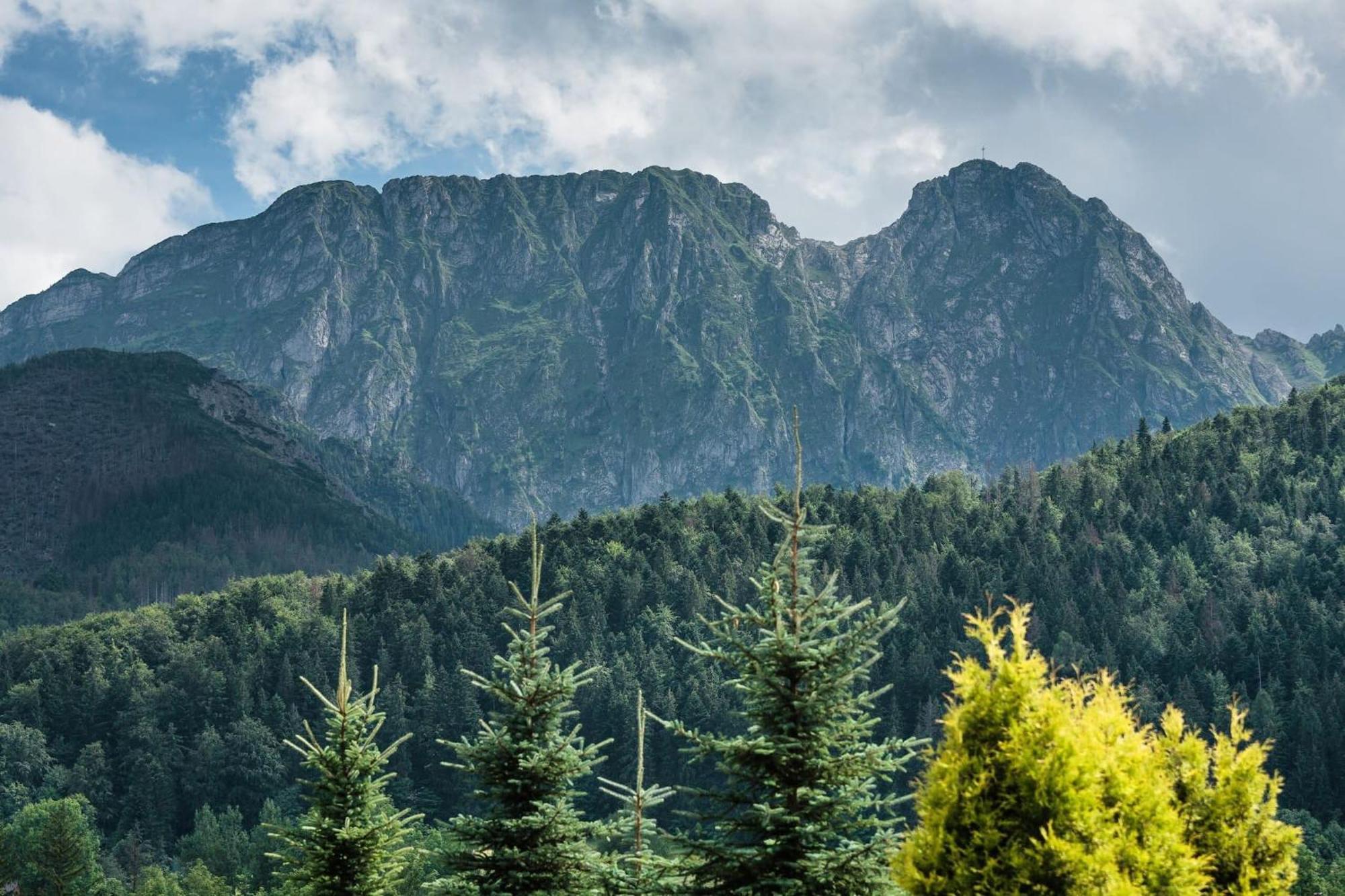 Rent Like Home - Skibowki Zakopane Luaran gambar
